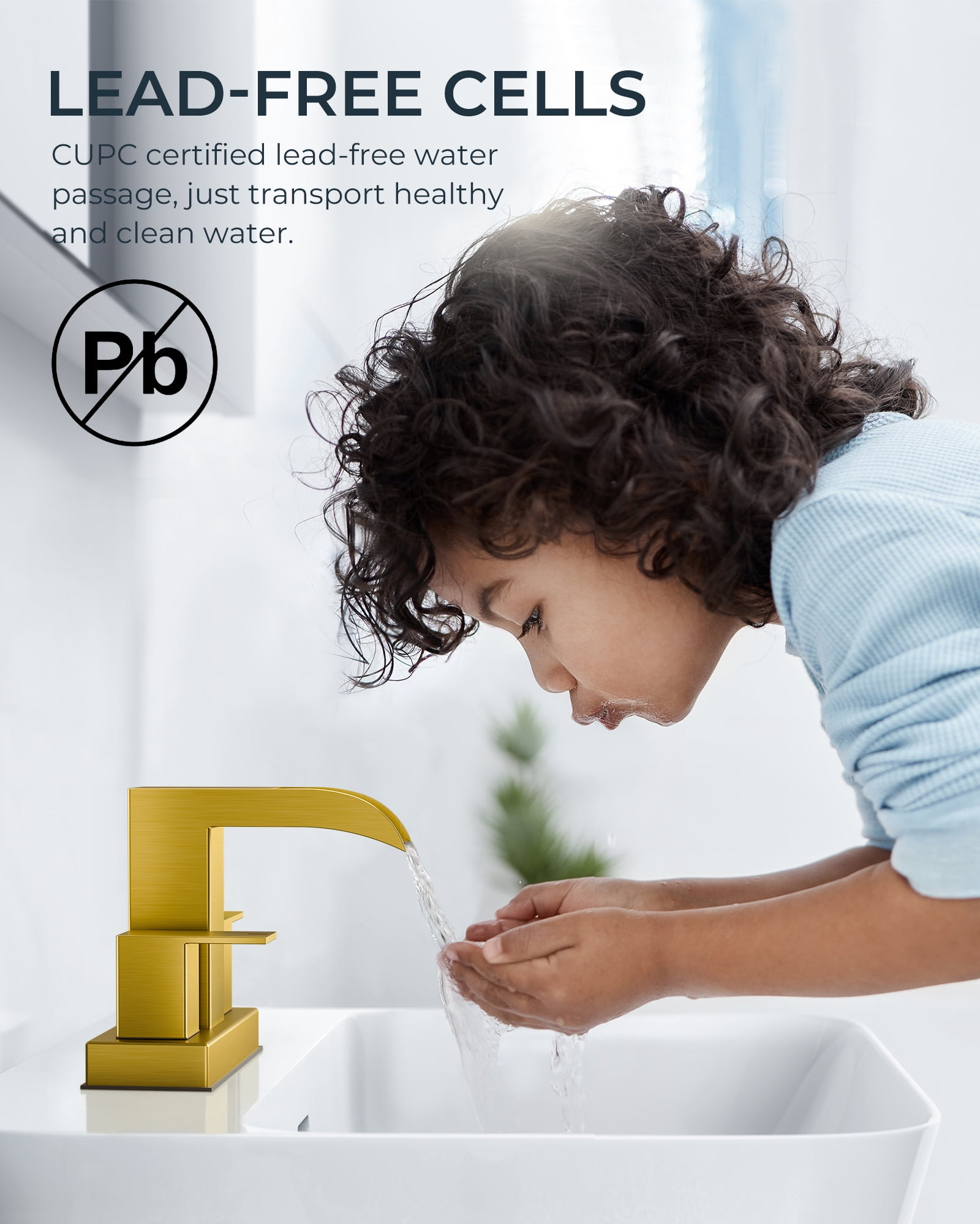 WB-61A32G Centerset Bathroom Faucet With Drain Assembly, 2-handle Bathroom Sink Faucet