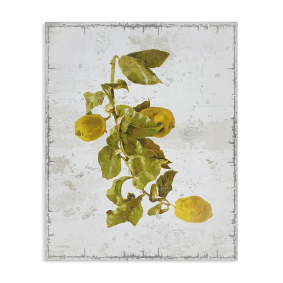 Stupell Industries Shabby Chic Natural Lemon Fruits Canvas Art, 16 x 20, by Graffitee Studios