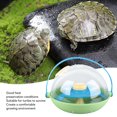 thumbnail image 3 of Baby Breeding Box, Interesting Scientific Feeding  Hatching Station  For Children Toys, 3 of 8