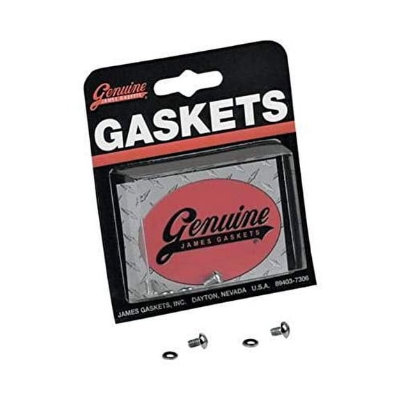 James Gaskets 45790-80-BH Fork Drain Screw Kit - Zinc
