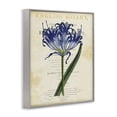 thumbnail image 2 of Stupell Industries Shabby Chic English Botany Blue Floral Gray Framed Giclee Art, 16 x 20, by Susan Arnot, 2 of 8