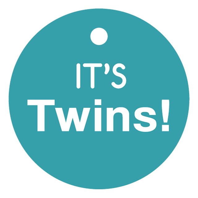 100 PCS Baby Shower Favor Gift Paper Tags It's Twins Cricle Baby Shower Hang Tags