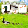 thumbnail image 4 of Estatuas de animales de jardín de adorno de fiesta de juego de patio de acrílico para techo de granero de casa JShteea Libre de BPA, 4 of 5