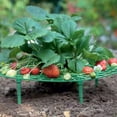 thumbnail image 5 of Vegetable Plants Plant Frame Support Balcony Strawberry Gardening Supplies Flower Climbing Stand Plant Climbing Rack Bassinet Climbing Support Vegetable Rack Tomato, 5 of 5