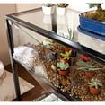 thumbnail image 5 of Showcase Terrarium Console Table, Black, 5 of 10