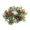 thumbnail image 1 of WMQPNNS Guirlande Lumineuse de Noël Tendance avec Baies Rouges Enneigées Feuilles Vertes Lumières Led à Piles pour Décoration de Noël Intérieur Extérieur, 1 of 9