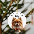 thumbnail image 3 of Personalized Pembroke Welsh Corgi Christmas Ornament 2025 Name Pembroke Welsh Corgi Ornament, Gift for Dog Dad Dog Mom, Pembroke Welsh Corgi Portrait Wearing Glasses Ornament Keepsake qiG8cF, 3 of 6