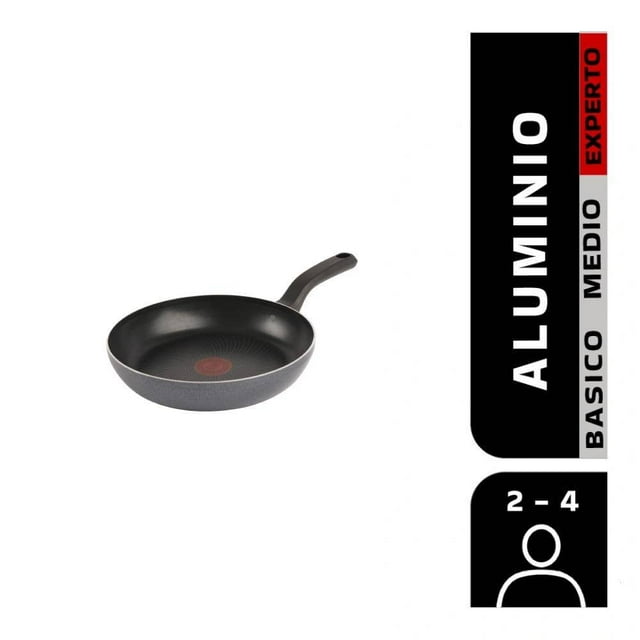 Sartén T-fal Titanium Force 24 cm Gris