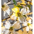 thumbnail image 3 of Indoor/Outdoor Electric Lighted Faux Dogwood Tree 6' Tall, 3 of 6