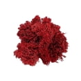 thumbnail image 2 of Pemberly Row Mousse de Renne Traditionnelle 200 g Préservée Rouge, 2 of 4