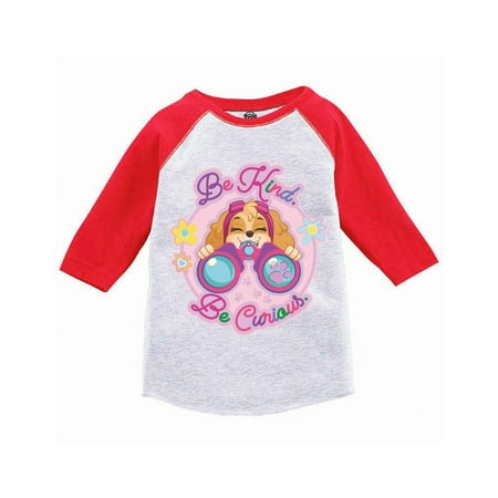 

Paw Patrol Skye Raglan Long Sleeve Toddler Shirts - 3 4 5 Years Old - Be Kind Be Curious Tshirt Paw Patrol Tee