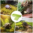 thumbnail image 4 of Multifunctional Turtle Basking Platform Imitate Natural Habitat Amphibious Crawling Rest Shelf Aquarium Water Tank Pet Turtle Climbing Leisure Terrace Reptile Daily Activity Habitat Layout Accessory, 4 of 8