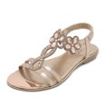 thumbnail image 1 of Sandalias de tobillo elásticas a la moda para mujer sandalias con flores de diamantes de imitación para viajes al aire libre, 1 of 9