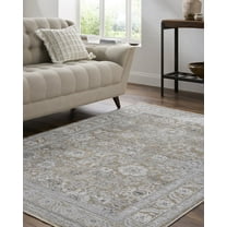 Livabliss Area Rugs for Living Room, 5x7 Edmonton Traditional Light Gray Rug, Bedroom Dining Room Home Decor Stain Resistant Carpet (5'3" x 7')