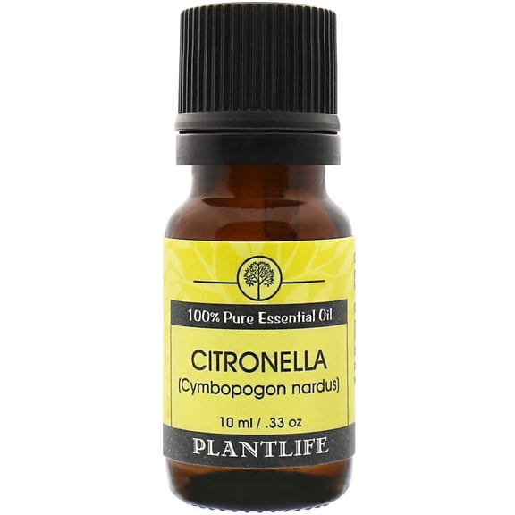 Plantlife Citronella Aromatherapy Essential Oil - Straight From The Plant 100% Pure Therapeutic Grade - No Additives or Fillers - 10 ml