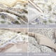 thumbnail image 5 of Hojas Funda Nórdica 100% Algodón Blanco Floral Patrón Farmhouse Bedding Set 3, 5 of 6