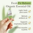 thumbnail image 2 of Pranarom Fir Balsam Essential Oil 5ml for Diffuser Relaxation, 2 of 4