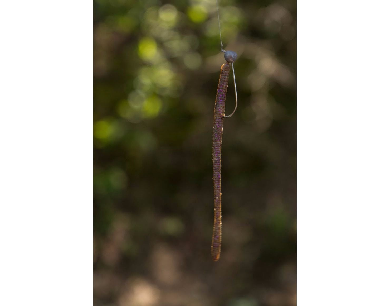 Berkley PowerBait® MaxScent D-Worm Fishing Soft Bait