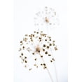 thumbnail image 2 of 1x Studio III 13x18 Gold Ornate Wood Framed with Double Matting Museum Art Print Titled - Dried Flower_2_Natural, 2 of 4