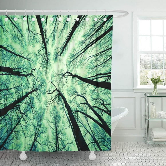 XDDJA Green Cedar Looking Up at The Sky Aspen Bark City Shower Curtain 66x72 inch