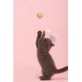 thumbnail image 6 of Pet Life ® 'KITIQUE" 3-in-1 Retractable and Extendable Feathered and Laser Wand Kitty Cat Teaser, 6 of 7