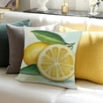 thumbnail image 3 of Lemon Decor Pillow Cover Decor Cushion Covers Couch Sofa Home Office Holiday Party Decorative Pillows for Bed Vacation, 3 of 5