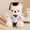 💕A_New#1095, variant on Graduation Bear Plush | Doctoral Nurse Teddy | White Coat, Twisted Flower Detail, Soft Fabric, Adorable Face, Multicolor, 23cm | Gift for Professionals