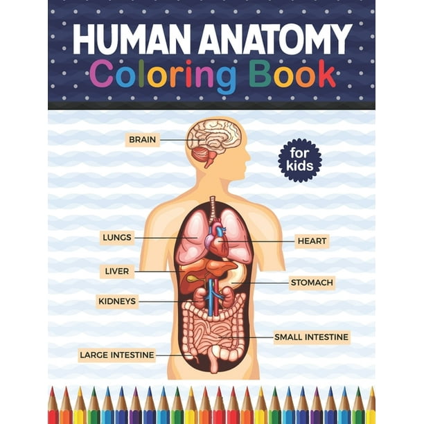 Download Human Anatomy Coloring Book For Kids Human Body Anatomy Coloring Book For Kids Boys And Girls