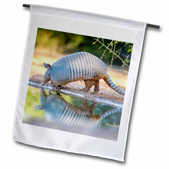 3dRose, Nine-banded Armadillo, Dasypus novemcinctus, drinking, 12 x 18 inch Garden Flag