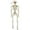 1.25ft, variant on 1.3ft Life-Size Skeleton Outdoor Spooky Decor, Posable Joints Halloween Decor Yard Display Front-Lawn Centerpiece Cute Gift for Neighbors