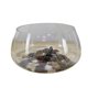 thumbnail image 1 of Tarro de tortuga de escritorio pequeño transparente circular de vidrio for el hogar, 1 of 4