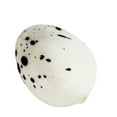 thumbnail image 2 of Miangastore Simulation Bird Eggs Mini Artificial Quail Egg Model Toy Creative Easter Decor for Home Garden, 2 of 8