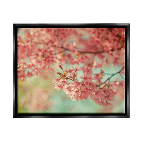 Stupell Industries Pink Cherry Blossoms Botanical & Floral Photography Black Floater Framed Canvas Art Print Wall Art, 21 x 17