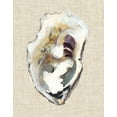 thumbnail image 2 of Willett, Michael 15x18 White Modern Wood Framed Museum Art Print Titled - Oyster Shell Study I, 2 of 4