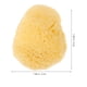 thumbnail image 4 of ColoMX Padena de eliminación de maquillaje Ponja facial Cleansing Exfoliating Sponge esponja reutilizable, 4 of 7