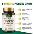 thumbnail image 5 of Probiotics for Digestive Health, 120 Billion CFU for Women's Vaginal pH & Daily Immune Support, Nature's Probiotic Supplement for Gut Health & Bloating, Probiotics for Women & Men - 30 Capsules, 5 of 6