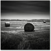 Trademark Fine Art Dave MacVicar 'Rural' 14 x 14 (ALI0848-C1414GG)