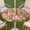 C, variant on Round Outdoor Tablecloth, Zipper Tablecloth with Umbrella Hole, Wood Grain Elastic Tablecloth for Picnic Party Patio(C,44)