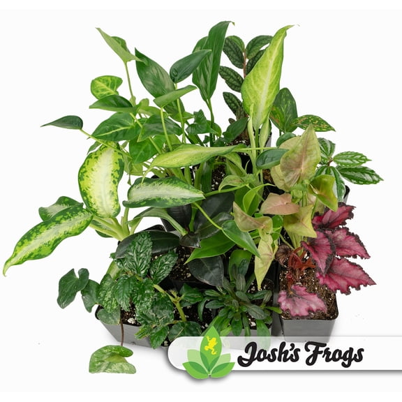 Josh's Frogs Foliage Plant Bundle 10-Pack