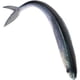 thumbnail image 3 of Señuelo artificial de hundimiento vívido, señuelo de pez realista, herramienta de pesca para agua dulce y salada, 3 of 7