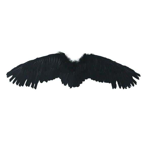 Angel , Feather Cosplay Women Men Halloween Decor Costume for Theme Party, Masquerade, Stage Performance, Holiday Black