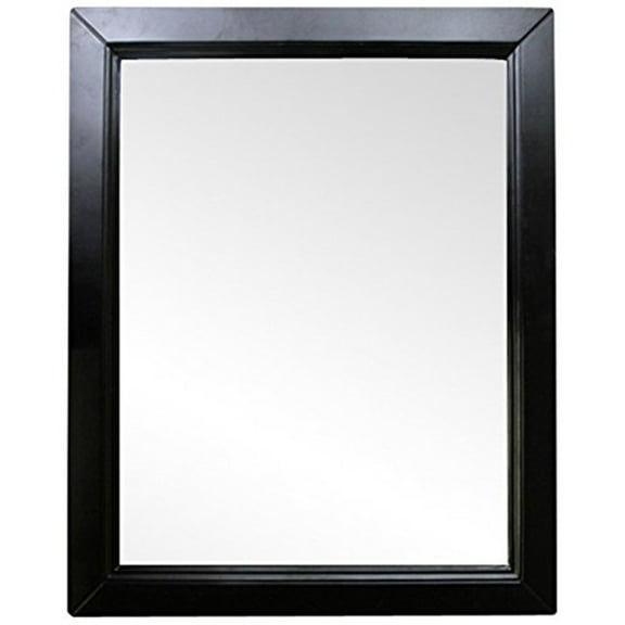 Bellaterra Home 30 in Mirror-espresso