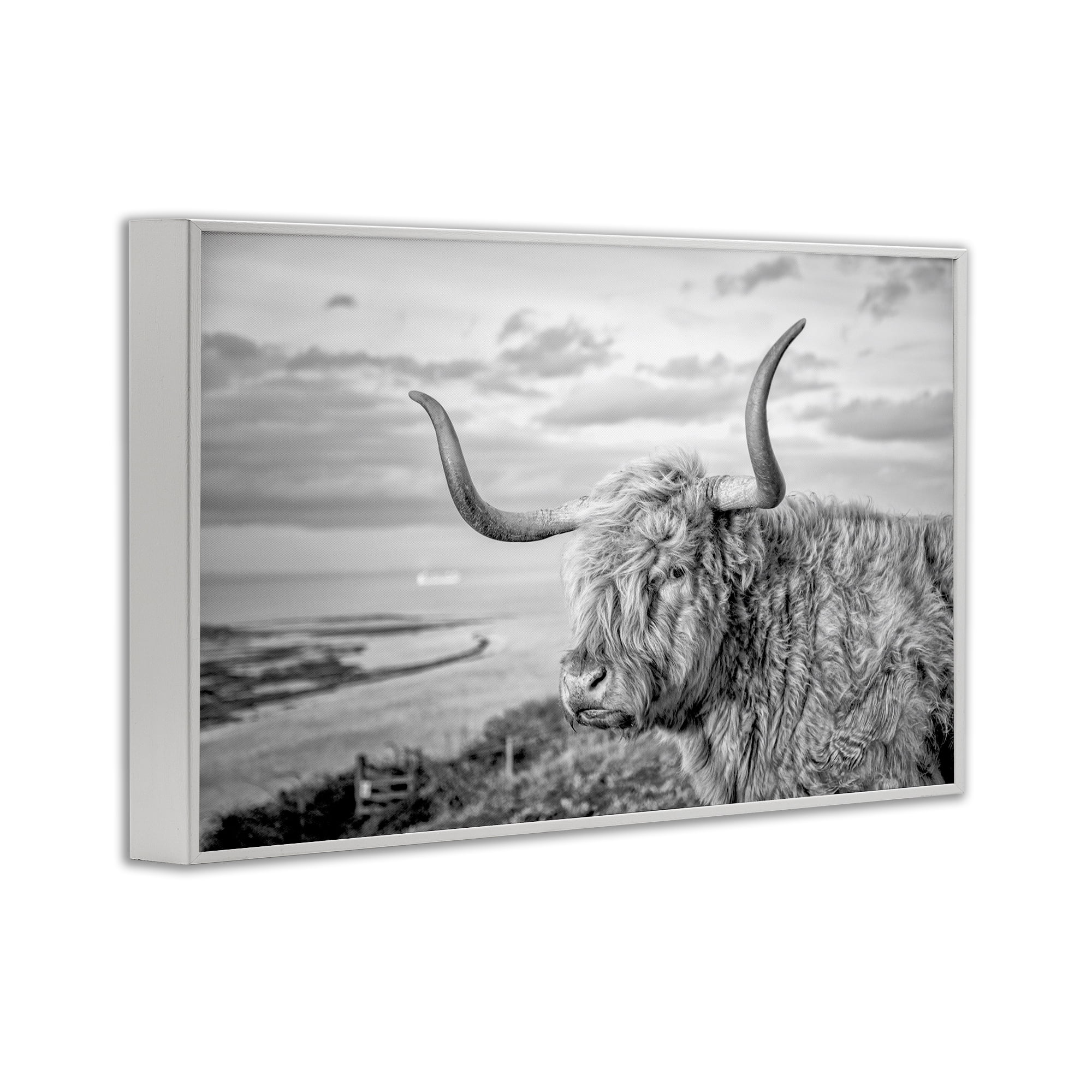 Stupell Industries Cattle with Ocean Breeze Animals & Insects Photography White Framed Art Print Wall Art, 30 x 20
