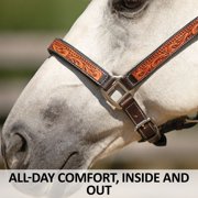 Schneiders McKenzie Padded Leather Ranch Halter for Horses | Size Full Horse