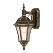 Newark Weathered Bronze Motion Sensor Dusk to Dawn Traditional Outdoor Wall Light with Clear Glass