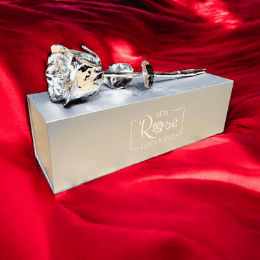 100% Natural Silver Plated Rose, Long Stem 11.5", Handmade in Small batches.