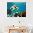 thumbnail image 2 of COMIO Green Sea Turtle Canvas Wall Art Print, Wildlife Artwork, 2 of 4