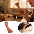 thumbnail image 2 of Hueso pequeño de nailon con sabor a ternera, para interiores, para perros pequeños y medianos, gran variedad, salón, balcón, patio, jardín, 2 of 7