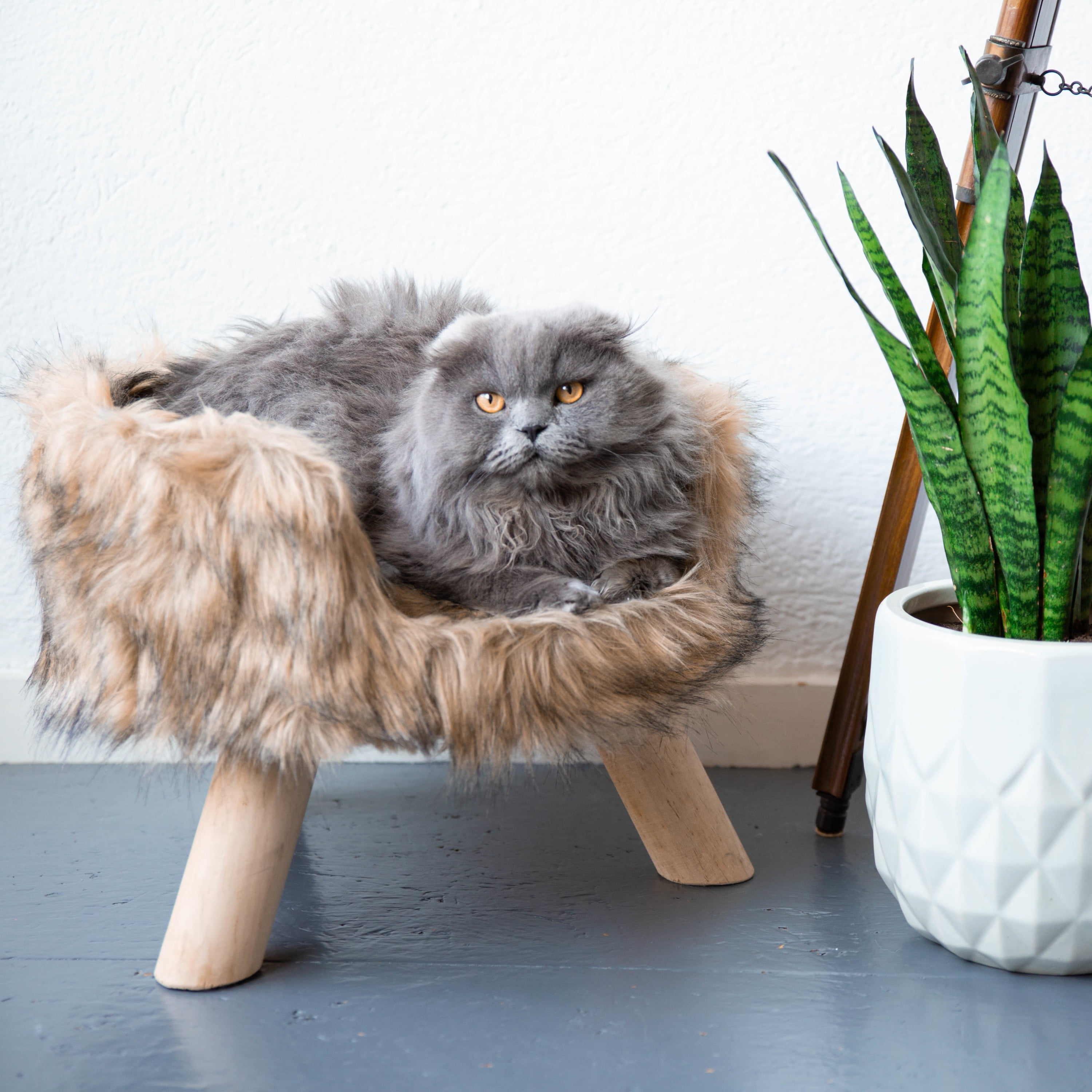 District 70 Nordic Cat Bed, Raised Cat Bed, Modern Design, Luxury Faux