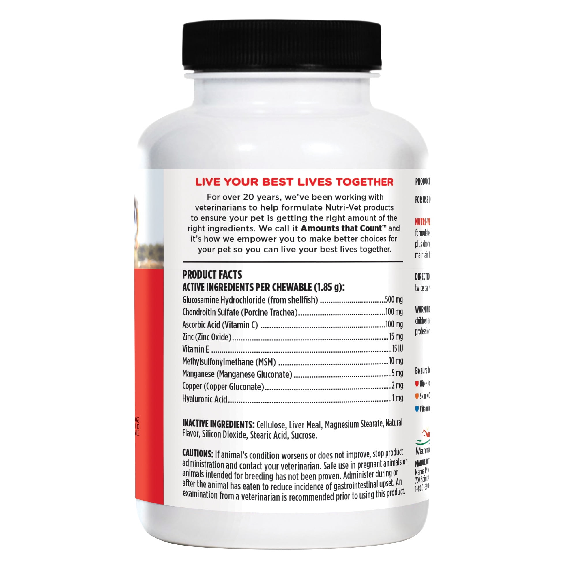 Nutri-Vet Hip & Joint Regular Strength Chewable Supplements for Dogs, 180 Count